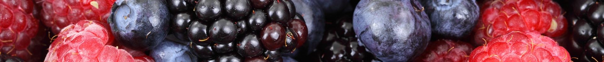 food-forest-blueberries-raspberries-87818